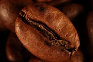 Coffee beans under warm light in close-up photo