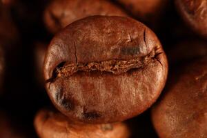 Coffee beans under warm light in close-up photo
