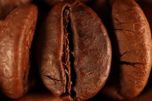 Coffee beans under warm light in close-up photo