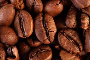 Coffee beans under warm light in close-up photo