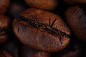 Coffee beans under warm light in close-up photo