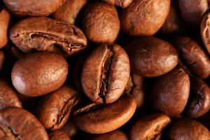 Coffee beans under warm light in close-up photo
