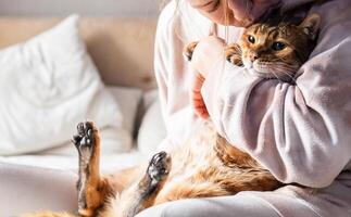 Person cuddling a cat on bed in cozy home setting. Pet loving and bonding at home. photo