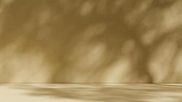 Simple background with branch shadows on the wall. Mock up for branding products, presentation and health care. photo