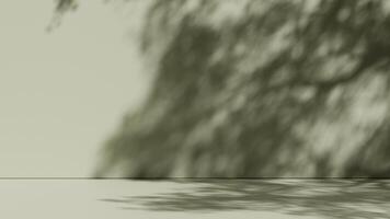 Simple background with branch shadows on the wall. Mock up for branding products, presentation and health care. photo
