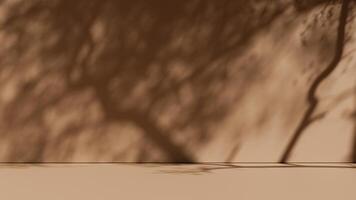 Simple background with branch shadows on the wall. Mock up for branding products, presentation and health care. photo
