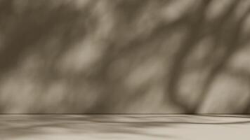 Simple background with branch shadows on the wall. Mock up for branding products, presentation and health care. photo