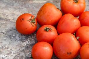 Fresh red tomatoes, the red color indicates that the tomato is ripe photo