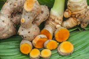 Turmeric or Curcuma longa Linn or rhizome root, a tuber plant that has a distinctive color and aroma photo