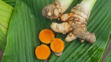 Turmeric or Curcuma longa Linn or rhizome root, a tuber plant that has a distinctive color and aroma photo