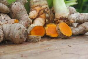 Turmeric or Curcuma longa Linn or rhizome root, a tuber plant that has a distinctive color and aroma photo