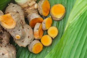 Turmeric or Curcuma longa Linn or rhizome root, a tuber plant that has a distinctive color and aroma photo