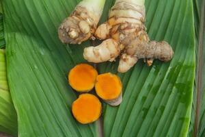 Turmeric or Curcuma longa Linn or rhizome root, a tuber plant that has a distinctive color and aroma photo