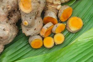 Turmeric or Curcuma longa Linn or rhizome root, a tuber plant that has a distinctive color and aroma photo