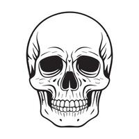 Skull with a retro vintage style vector