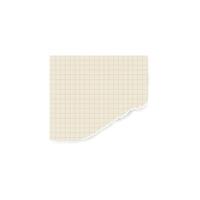 torn notebook sheet in a cage, for notes, signatures, decoration, stickers. scrapbooking. vector