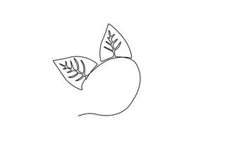 Self drawing animation of single line draw whole healthy organic walnut food and leaves for orchard logo identity. Fresh nutshell concept for healthy seed icon. Continuous line. Full length animated video