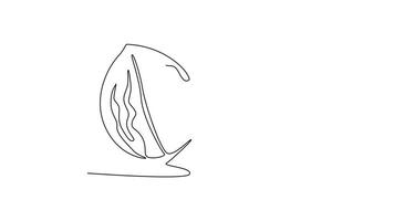 Self drawing animation of single line draw of whole healthy organic walnut food for plantation logo identity. Fresh nutshell concept for healthy seed icon. Continuous line draw. Full length animated video