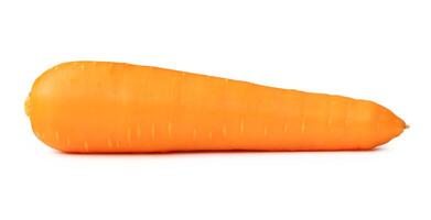 Side view of fresh orange carrot isolated on white background with clipping path photo