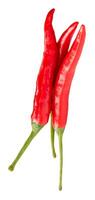 Top view of fresh red chili peppers or cayenne peppers in stack isolated on white background with clipping path photo