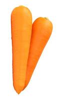 Two roots of fresh orange carrot in stack isolated on white background with clipping path photo
