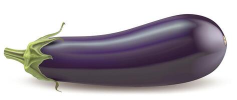 Eggplant isolated on a white background, with no shadow or reflection photo