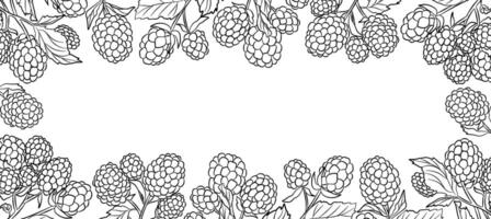 Outline Raspberry Frame Cartoon Illustration with Line Berries vector