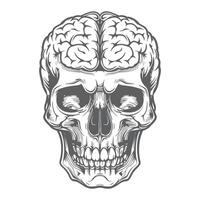 Timeless Anatomy Skull with Exposed Brain in Monochrome vector