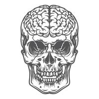 Skull and Brain A Vintage Monochrome Perspective vector