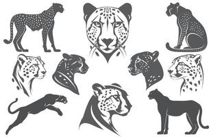 Premium Cheetah Silhouette Set High Quality Graphics for Designers vector