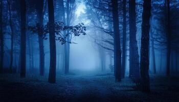 The forest at night with fog creepy atmosphere landscape haunting illustration background photo