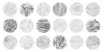 Wood texture material doodle hand drawn line. Tree trunk geometric curve and wave contour. Rings and circles. vector