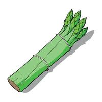 Fresh green asparagus wrapped in jamon on a grey wooden table top view vector