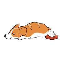 A dog peacefully sleeps next to a pile of bacon on a neutral background. vector