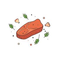 A piece of meat is on a white background with some herbs and spices. vector