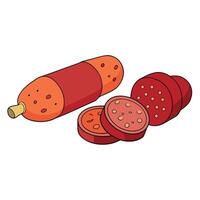 Assorted Slices of Salami and Other Meats on White Background vector