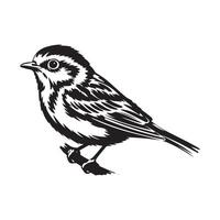 Refined Bird Silhouette Art with Clean Lines vector