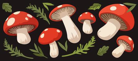 set of bright fly agaric mushrooms and forest green branches on black background vector