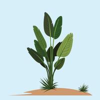 Palm tree with leaf Background. vector