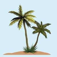 Coconut Palm tree with leaf Background. vector