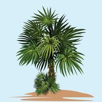 Bunch of Palm tree with leaf Background. vector