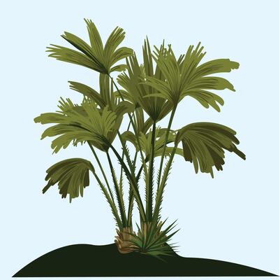 Coconut tree bunch with sky Background.