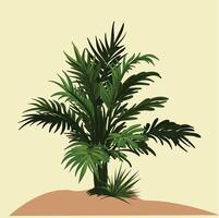 Palm tree grass with leaf Background. vector