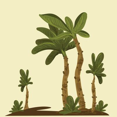 Bunch of Palm banana plant tree Background.