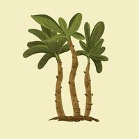 Palm banana plant tree Background. vector