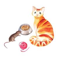 Watercolor illustration. Red cat, bowl with food, brown mouse, ball of thread, all objects are hand-drawn with watercolors. Suitable for printing on fabric, in books, magazines, on paper, postcards vector