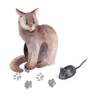 Watercolor illustration. Gray cute cat and mouse toy with tail, gray cat tracks. All objects are hand painted with watercolors. Suitable for printing on fabric, paper, cards and invitations vector