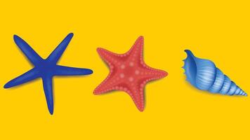 Three starfish and shells on a yellow background vector