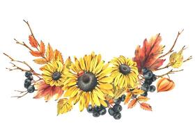 Autumn berries physalis, chokeberry, rowan leaves, maple, birch, russula mushrooms, rudbeckia flowers, tree branches and ladybugs. Watercolor illustrations. Sublimation isolated from the background vector