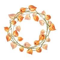 Autumn orange physalis berries on branches dry, leafless dried flowers. Watercolor hand drawn illustration. Round wreath frame template for text isolated from background. vector